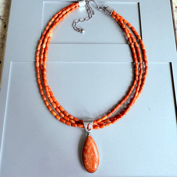 Jay King Southwestern Red Sponge Coral DTR Sterling Silver 925 Pendant Necklace - Picture 2 of 9